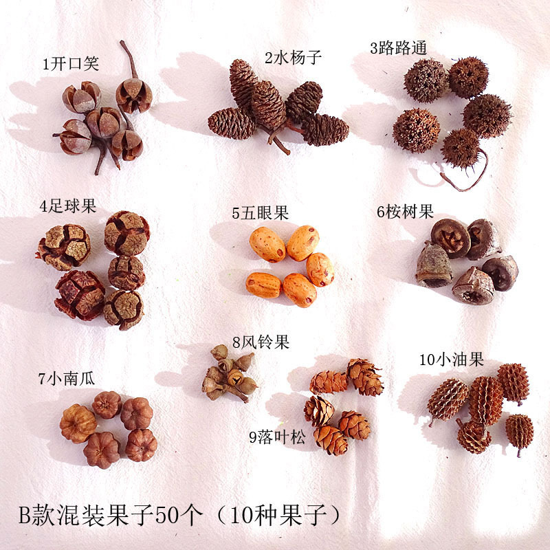 幼儿园手工制作天然松果橡果千纹果材料装饰干花圣诞节果子E18