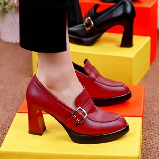 Platform high heels pointed women's shoes 2024 spring new thick-soled chunky heel fashion shoes deep mouth women's leather shoes