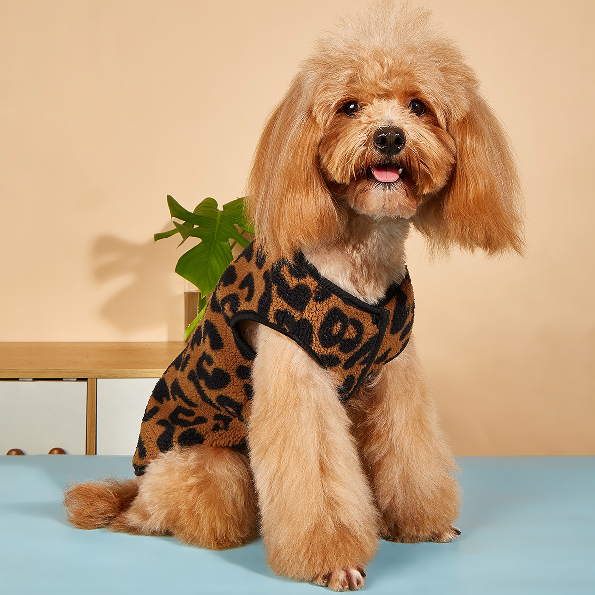 狗衣服 义乌欧康宠物用品