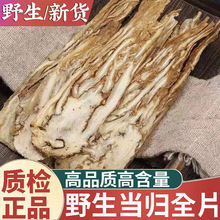 wș wƬw^ƬwƬؼҰ wƬCếh