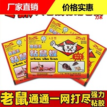�����N����ճ��峬����ճ�������zճ���N�����zճ������ճ�N����