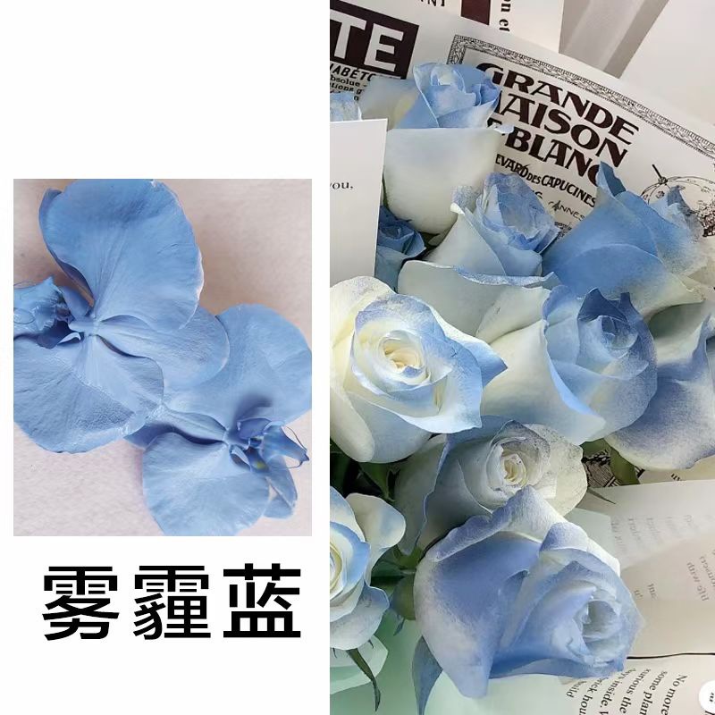 Internet celebridad ciruela negro rosa púrpura flores autopintadas agente de pulverización de color tinte floral spray colorante