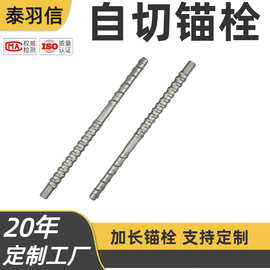 混凝土锚栓 加长锚栓定制 M14*300 双头锚栓