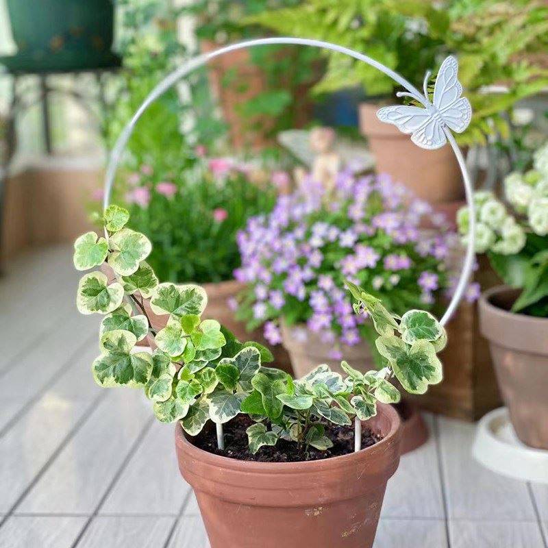 나비와 둥근 꽃 스탠드 1