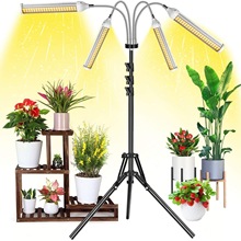 ȫ���Vֲ�����L��LED�a���12V�{�ⶨ�r�����������