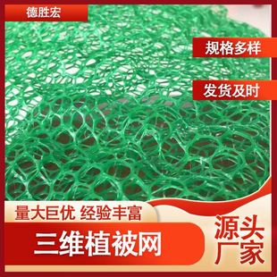 ֲ���o�����Sֲ���W�S�����l ���쏊�ȸ� ���̾G���ӵ����������W