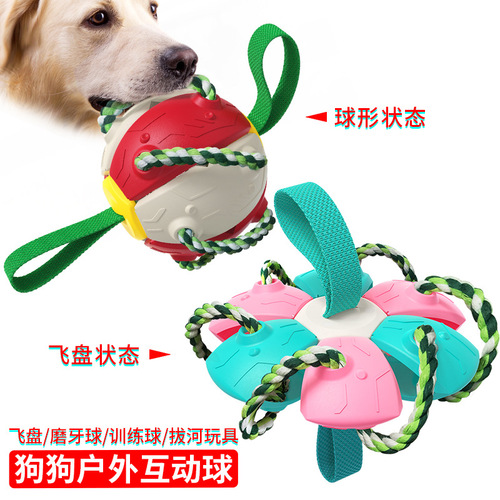 Pet Products Factory Wholesale Company New Amazon Outdoor Training Frisbee Interactive Football Dog Toy