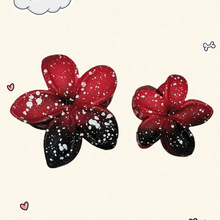 �}�Q���^�ѩ��ץ�AŮ�ﶬ2024�¿�ɐ۰l�A��̖�P�l���~�A���^�