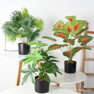 ����Gֲֲ��F���~���԰����G�}�~�ٻ����滨����쾰�������l