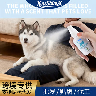 KineShineX����؈�����һ�����F�坍����ˮϴ�����f���㺣�}