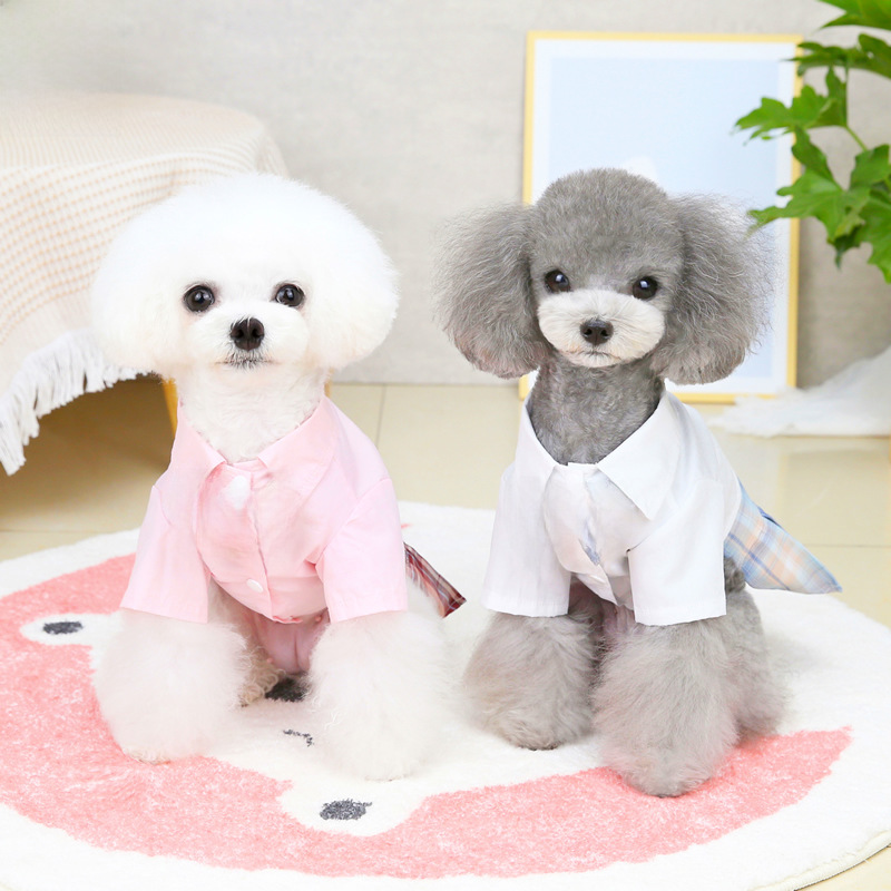애완 동물 의류 개 옷 고양이 강아지 옷 봄 여름 얇은 원피스 22JK 한국 아카데미 치마