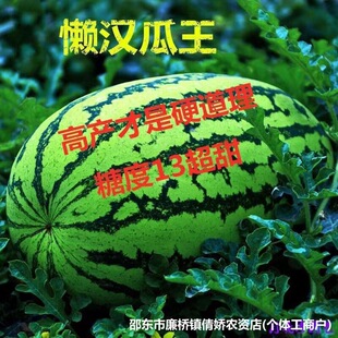 �Нh���������ϷN�����ļ�����������֭ˮ���Нh���ϷN�ӷN�ܳ�