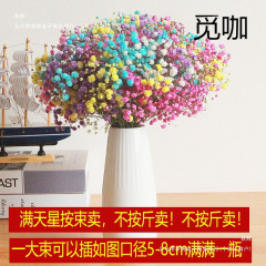 干花花束客厅摆设装饰摆件云南真花风干天然鲜花批发满天星勿忘我
