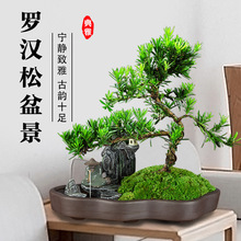 �޺����辰��׮ֲ������ȸ���������������ڻ���ֲ����΢���ۺ���