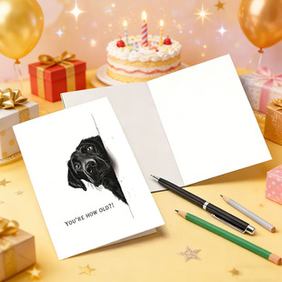 �羳��ֹ����R���߼����֌������R�����ŷ�W��Ȥζ�R��С��Ƭ