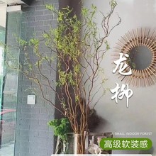 ˮֲr֦лˮBGֲѩ֧҃^~ˮRƽ