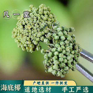 ��һ�����߻� ���߻��� �����37�� ��Ȼ���� �����x�Ŀɟo�۰l؛