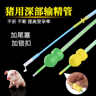 �i��һ�����ݔ����ĸ�i�ܾ����i�˹��ھ������ӌm�T��ܛ�^һ��