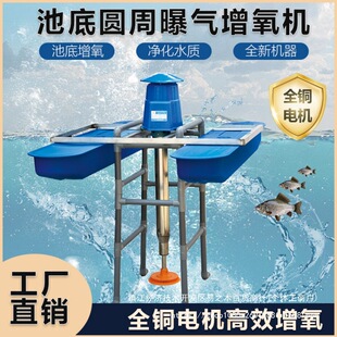 �~���ص��ؚ�����Bֳˮ�a�����C���������ô��������C���P�