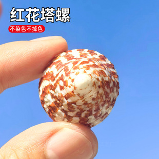 �t��������Ȼ���ݼt���ݼľ�з�Q����ؐ�~�~��ˮ���^�쾰�Ҿ��b�