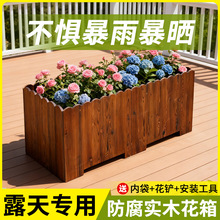 ������ľ����Nֲ�仨�����ͥԺ¶̨�L���ηN�����̨���⻨��