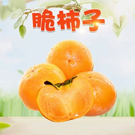 代用/养生茶;苹果;橙