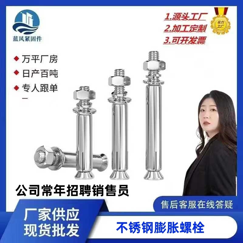 316/201/304 Stainless Steel Expansion Screws, Extended National Standard Expansion Bolts, Galvanized Expansion Screws