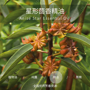 Խ��| �M�� �ЙC ��������η�����  ���l