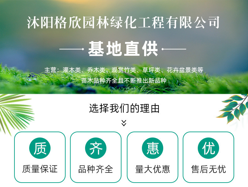 18e9831b45575364d80b1bd78b2b34