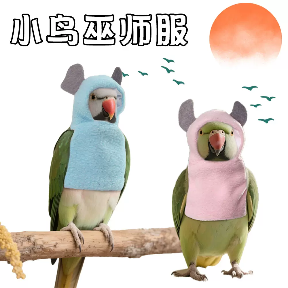 亚马逊新款摇粒绒宠物鸟衣服鹦鹉鸟类巫师变身装宠物衣服小宠用品