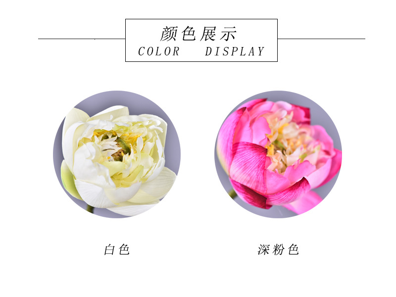 颜色展示.jpg
