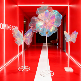 ins�D���Ųʺ����������Ɍ����յ����b�Ʒ��������������b�