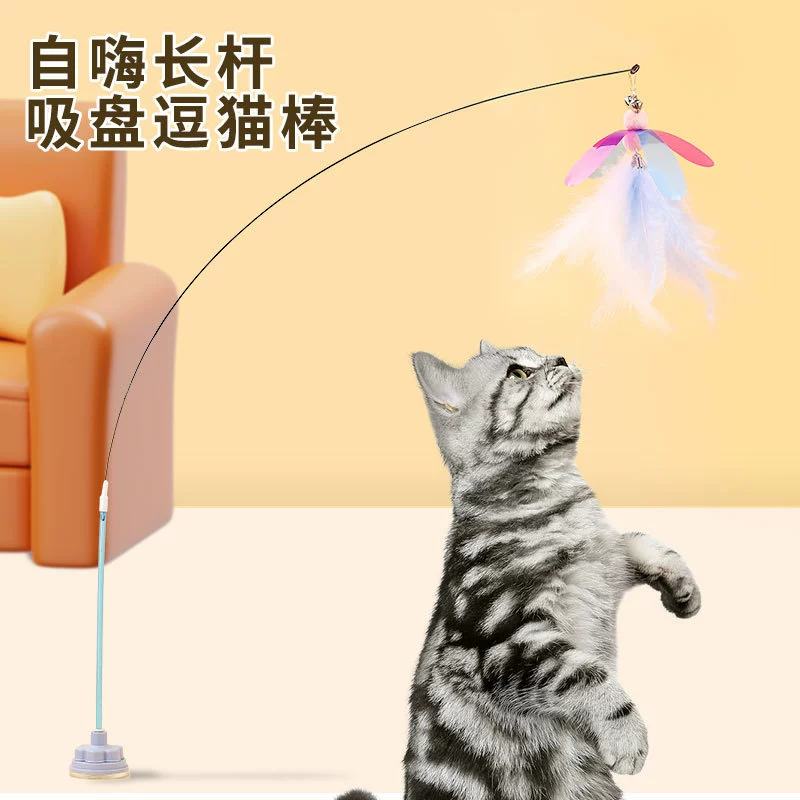Кошачья присоска дразнит кошачью палочку с длинным пером от привет, чтобы облегчить скуку и истощить детенышей игрушки для кошек #