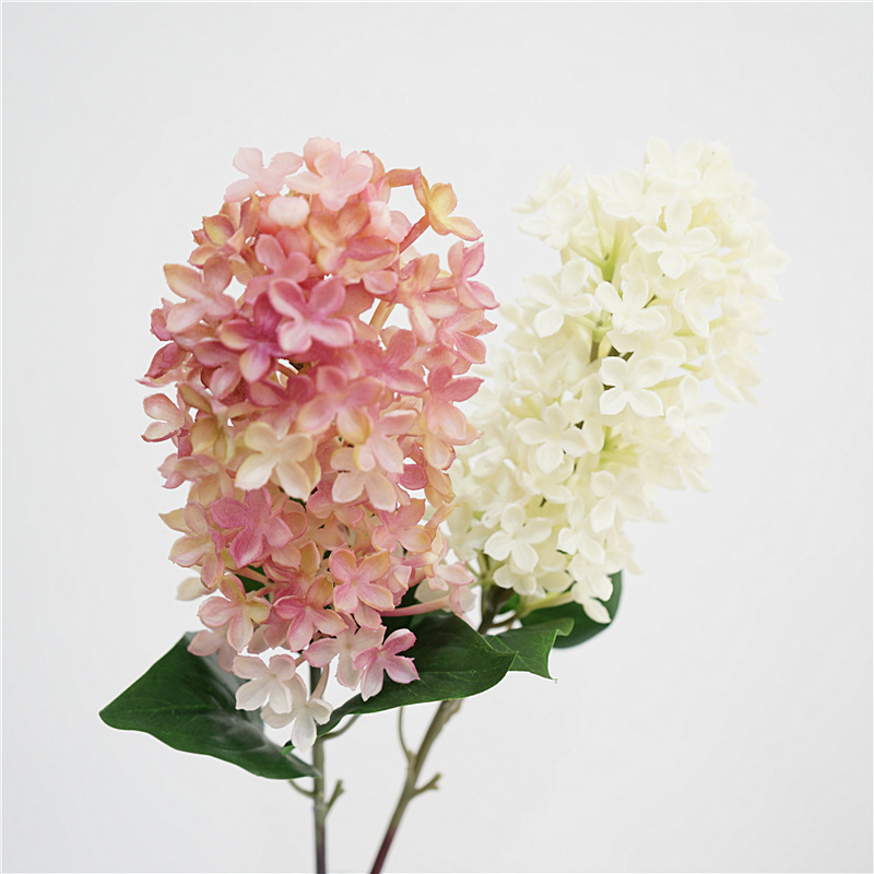 Simulation Flower High -quality Found Soft Platform Lichalite Milan…