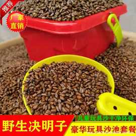 池决明子野生套装决明子沙游乐场摆摊决明游乐室内批发散装沙子儿