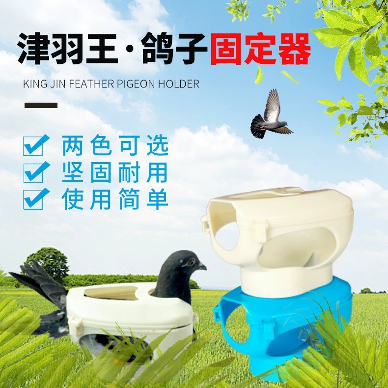 Оборудование для голубей Jinyu King, держатель для голубей, инъекция для кормления лекарств, рамка для фиксации глаз голубиных камней, связка голубиных камней
