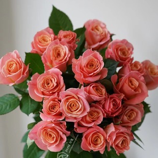 ����r����ɫõ���i��С����جF���r�л����l���ۻ����ͥ�û�