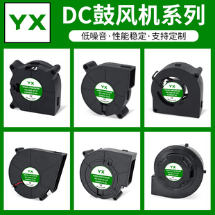 ���L�CDC12V�L�麬�͸��N��̖�����RͰͶӰ�xů�L�C�u݆ɢ���L�C