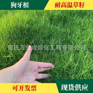 �������N�Ӱ�����ƺ����é����������̶������G���ݎ���Ó������