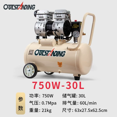 Repair Paint Spray Air – Hava kompressorları - copper-wire-750w-30l