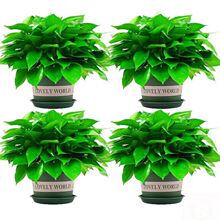 �G�}�҃�~���B������ȩ�����՚�Gֲ������ˮ��G�j�������l