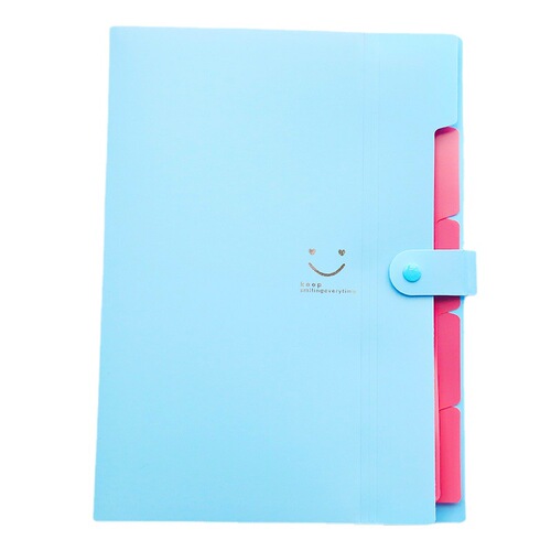 Love's Smile 5-fold folder plastic A4 file bag information folder test paper clip storage bag accordion bag wholesale