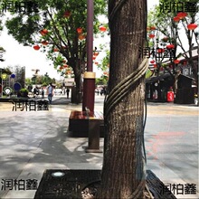 ���ϸɘ�֦늾����@��ľ���ٗl�bܷ�Ƥ������Ę��ٴ�������