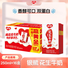 银鹭花生牛奶250ml*16盒早餐牛奶复合蛋白休闲食品饮料见详情其他