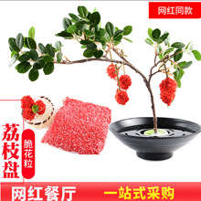 �W�t����Ц��֦�r��t�໨���b[�P��ɫ���Ըɱ����ð���;߱P