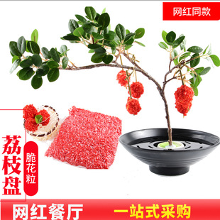 �W�t����Ц��֦�r��t�໨���b[�P��ɫ���Ըɱ����ð���;߱P