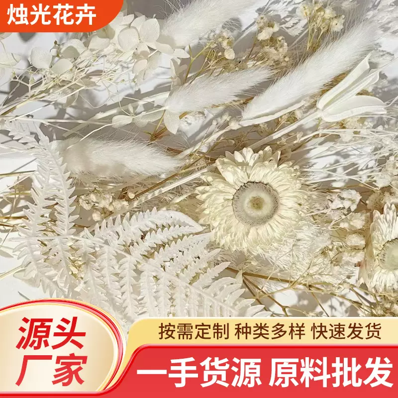 干花永生花蓬莱松材料包手工DIY相框压花香薰蜡烛泡澡玫瑰干花瓣