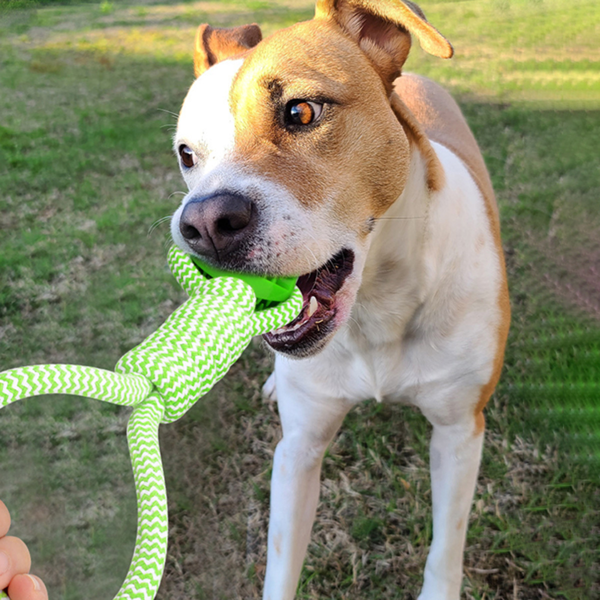 Durable Dog Rope Toy For Interactive Chewing And Teeth Cleaning_voghion.com