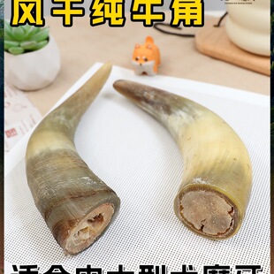 �L��ţ��ĥ�������X��ҧ������ʳ�д���Ȯţ����I�B���}