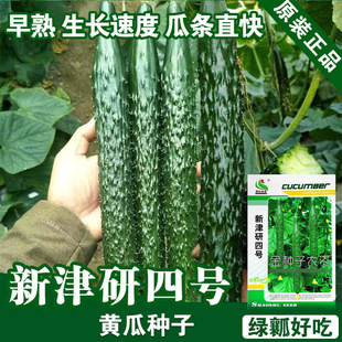 �S�ϷN���S�����߲˷N�����l�˷N���ѷN�ӹ�˾�ļ����N